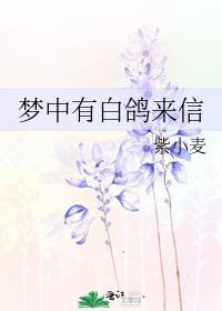 梦中有白鸽来信